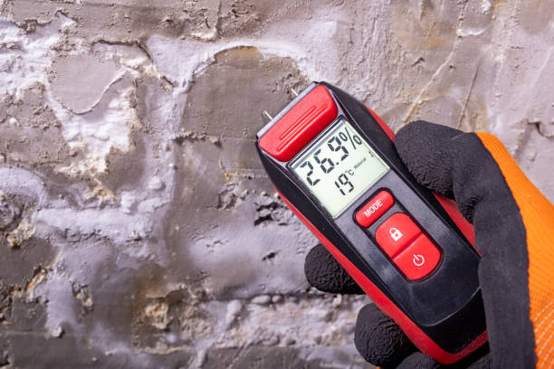 Best Post-Remediation Services in Whitesburg, KY