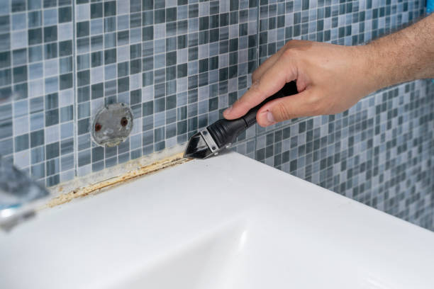 Best Residential Mold Remediation in Whitesburg, KY
